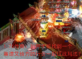 1.76棺βҵһָлһս귨