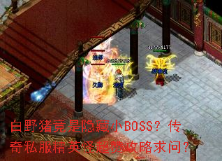 ҰСBOSS˽Ӣֳ޹ʣ