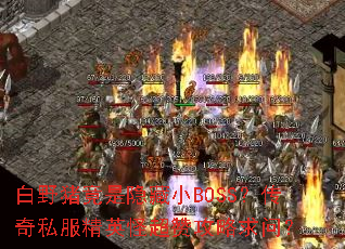 ҰСBOSS˽Ӣֳ޹ʣ