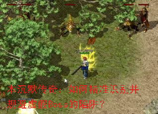 Ĭ棺ξ׼ʶ𲢹Boss壿