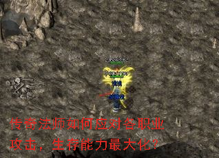 淨ʦӦԸְҵ󻯣