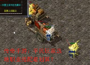 Σƽѡɶְҵ㣿
