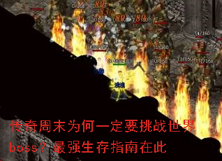 ĩΪһҪսbossǿָڴ