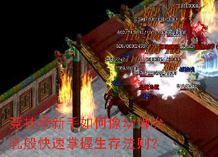 ʨ˱淨