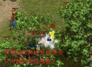 淨ʦǷֻΪ߽׼ܣ