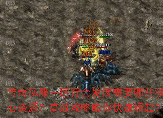 ˽һлᷢչҪЩԴЧ