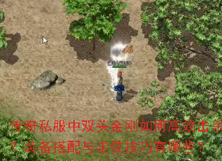 ˽˫ͷθЧɱװλЩ