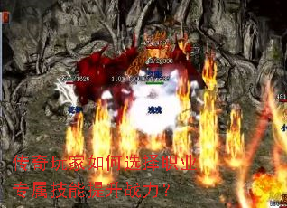ѡְҵרս