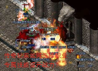 ѡְҵרս