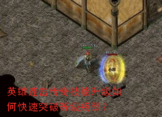 Ӣ漼οͻƵȼƿ