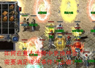 ڸŴиҪЩ벽裿