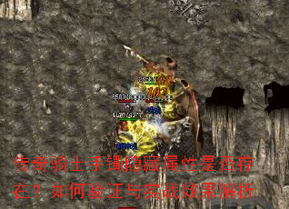 ʿǷڣ֤ʵսЧ