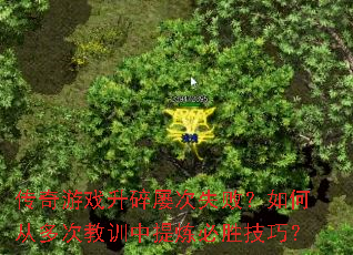 ϷŴʧܣδӶνѵʤɣ