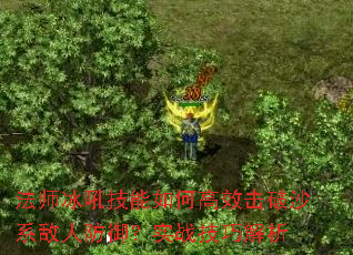 ʦθЧɳϵ˷ʵսɽ