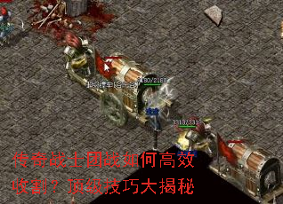 սʿսθЧոɴ