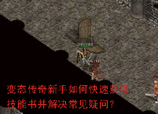 ̬οٻü鲢ʣ