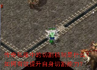 ˽еиʲôЧи