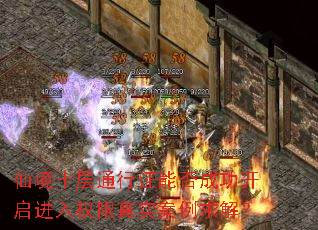 ɾʮ֤ܷͨɹȨʵ⣿