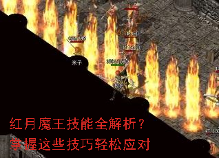 ħȫЩӦ