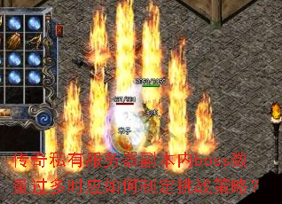 ˽зbossʱӦƶսԣ