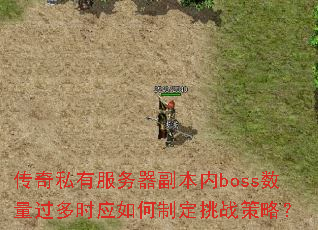 ˽зbossʱӦƶսԣ
