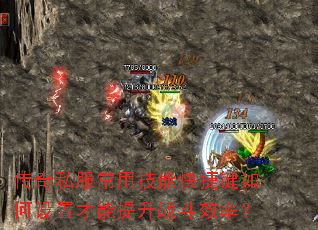 传奇私服常用技能快捷键如何设置才能提升战斗效率? 传奇私服常用技能快捷键如何设置才能提升战斗效率?