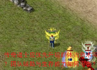传奇道士应优先升级群体治愈术吗?团队辅助与生存能力如何平衡? 传奇道士应优先升级群体治愈术吗?团队辅助与生存能力如何平衡?