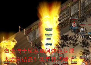 微变传奇玩家如何快速获取火龙树结晶?实用技巧解析 微变传奇玩家如何快速获取火龙树结晶?实用技巧解析