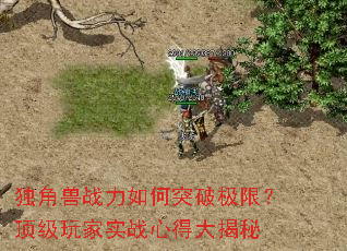 独角兽战力如何突破极限?顶级玩家实战心得大揭秘 独角兽战力如何突破极限?顶级玩家实战心得大揭秘