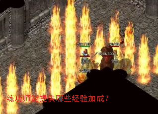 练功师能提供哪些经验加成? 练功师能提供哪些经验加成?
