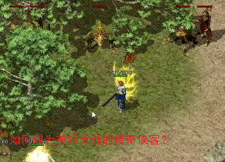 如何成为英雄大陆的传奇侠客? 如何成为英雄大陆的传奇侠客?