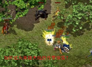 如何成为英雄大陆的传奇侠客? 如何成为英雄大陆的传奇侠客?