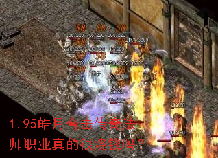 1.95ºϻ淨ʦְҵĺǮ