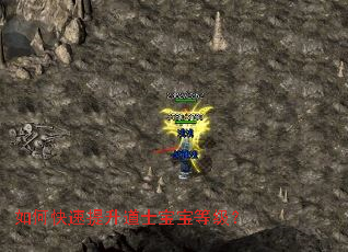 如何快速提升道士宝宝等级? 如何快速提升道士宝宝等级?