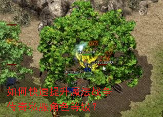 如何快速提升魔法战争传奇私服角色等级? 如何快速提升魔法战争传奇私服角色等级?