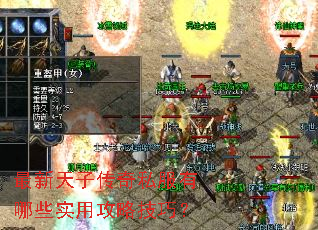 最新天子传奇私服有哪些实用攻略技巧? 最新天子传奇私服有哪些实用攻略技巧?