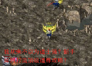 我从来不以为道士强?新手如何打造顶级道尊攻略? 我从来不以为道士强?新手如何打造顶级道尊攻略?