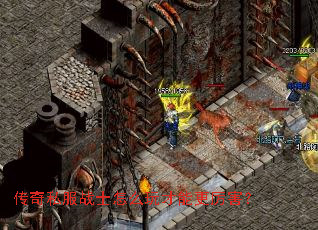 传奇私服战士怎么玩才能更厉害? 传奇私服战士怎么玩才能更厉害?