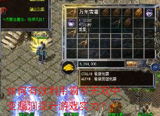 如何有效利用霸帝无双中变漏洞提升游戏实力? 如何有效利用霸帝无双中变漏洞提升游戏实力?