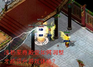 浅析至尊殿堂如何调整才能提升游戏体验? 浅析至尊殿堂如何调整才能提升游戏体验?