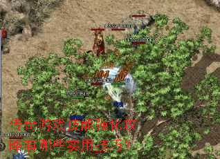 传奇游戏技能强化攻略有哪些实用技巧? 传奇游戏技能强化攻略有哪些实用技巧?