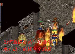 如何掌握刺杀与纵横剑术?战士的秘密全解析 如何掌握刺杀与纵横剑术?战士的秘密全解析