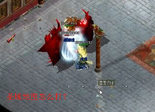 圣域地图怎么打? 圣域地图怎么打?