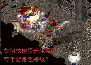 ��ο���������ѩ�������ν�ɫ�ȼ���