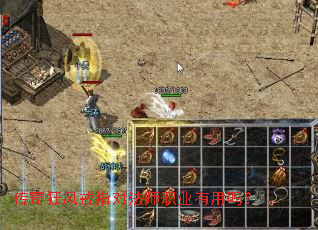 �������ָ�Է�ʦְҵ������