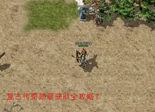 ���Ŵ���ѫ�»�ȡȫ���ԣ�