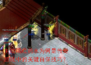 �����Ⱥ�ҩˮΪ���Ǵ�����Ϸ�еĹؼ��Ա����ɣ�