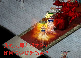 �ҵķ�ʦ����֮·����ο��������ȼ���