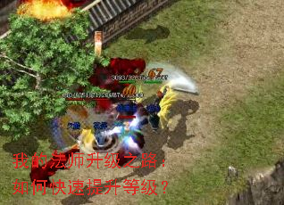 �ҵķ�ʦ����֮·����ο��������ȼ���