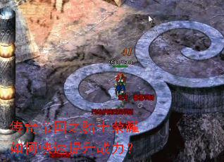 ����۹�֮��ʿ��ҫ��ο�������ս����